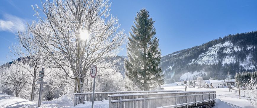 VIDEO Winter im Tannheimer Tal