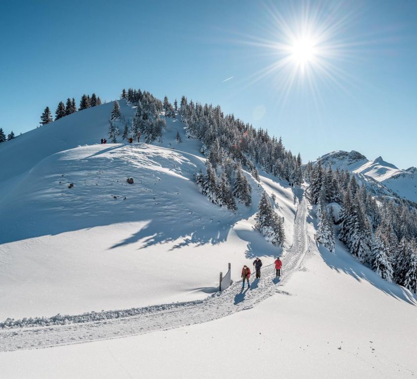 Hochtal WinterWanderland